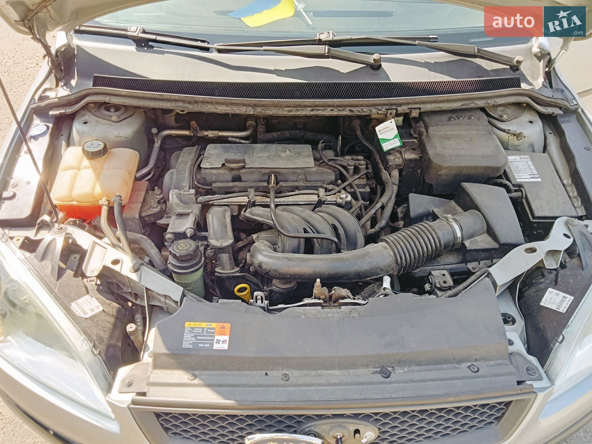 Ford Focus 2005 VIN WF05XXGCD55A54815 фото оголошення 14 з 14