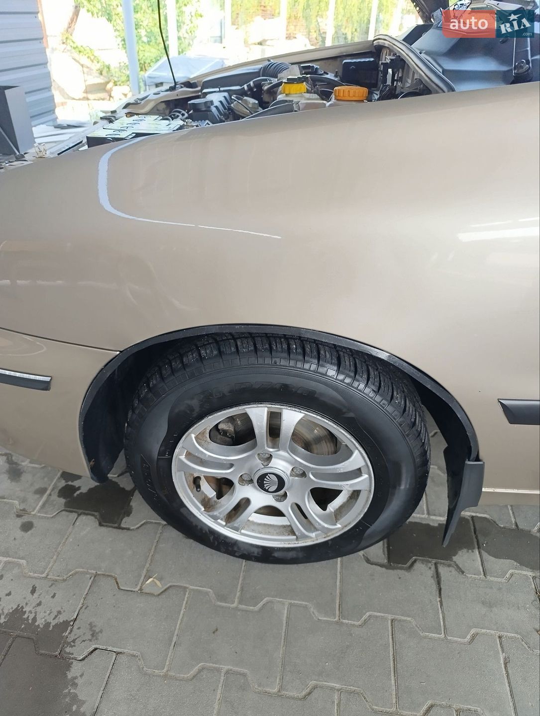Daewoo Lanos 2008 VIN Y6DTF69YD8W394219 фото оголошення 9 з 26