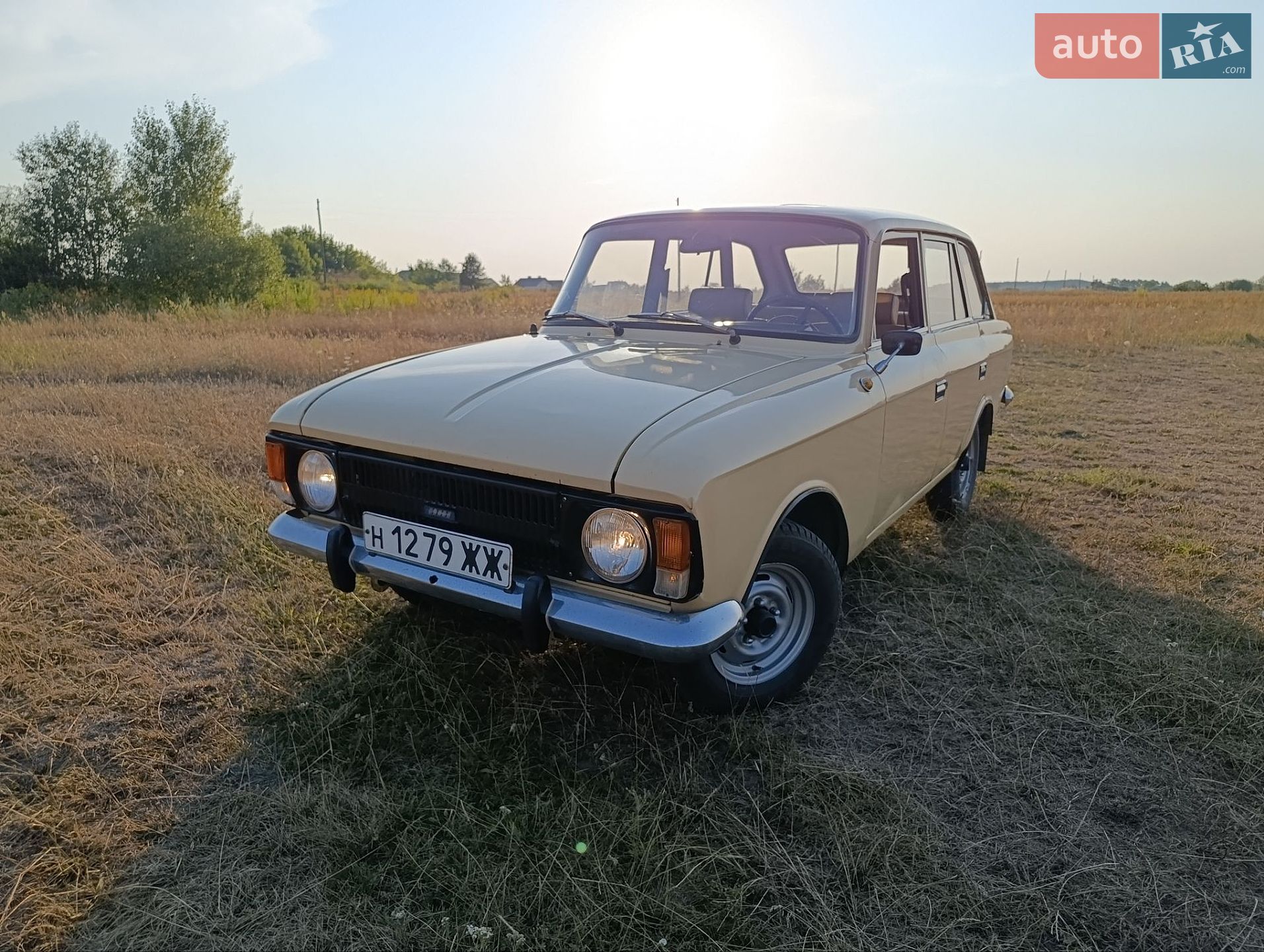 ІЖ 21251 Комби 1990 VIN XTK212510L0250579 фото оголошення 21 з 38