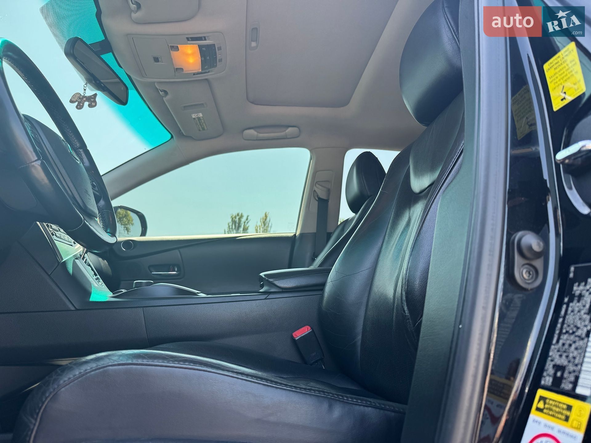 Lexus RX 2009 VIN 2T2BK1BA4AC029289 фото оголошення 19 з 43