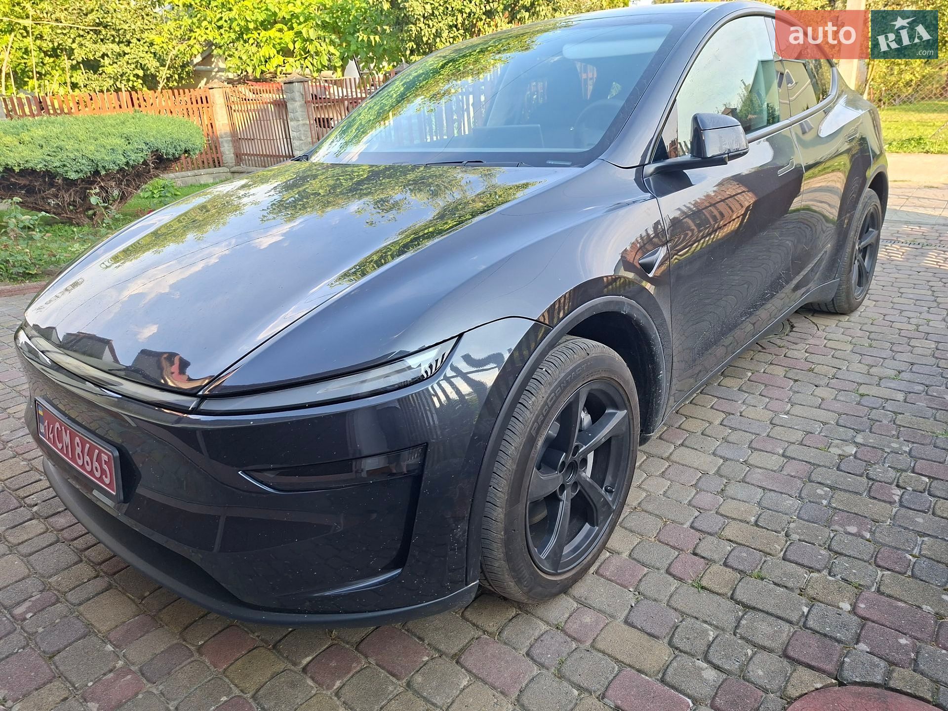 Tesla Model Y 2025 VIN 7SAYGDEE3TF446601 фото оголошення 5 з 18