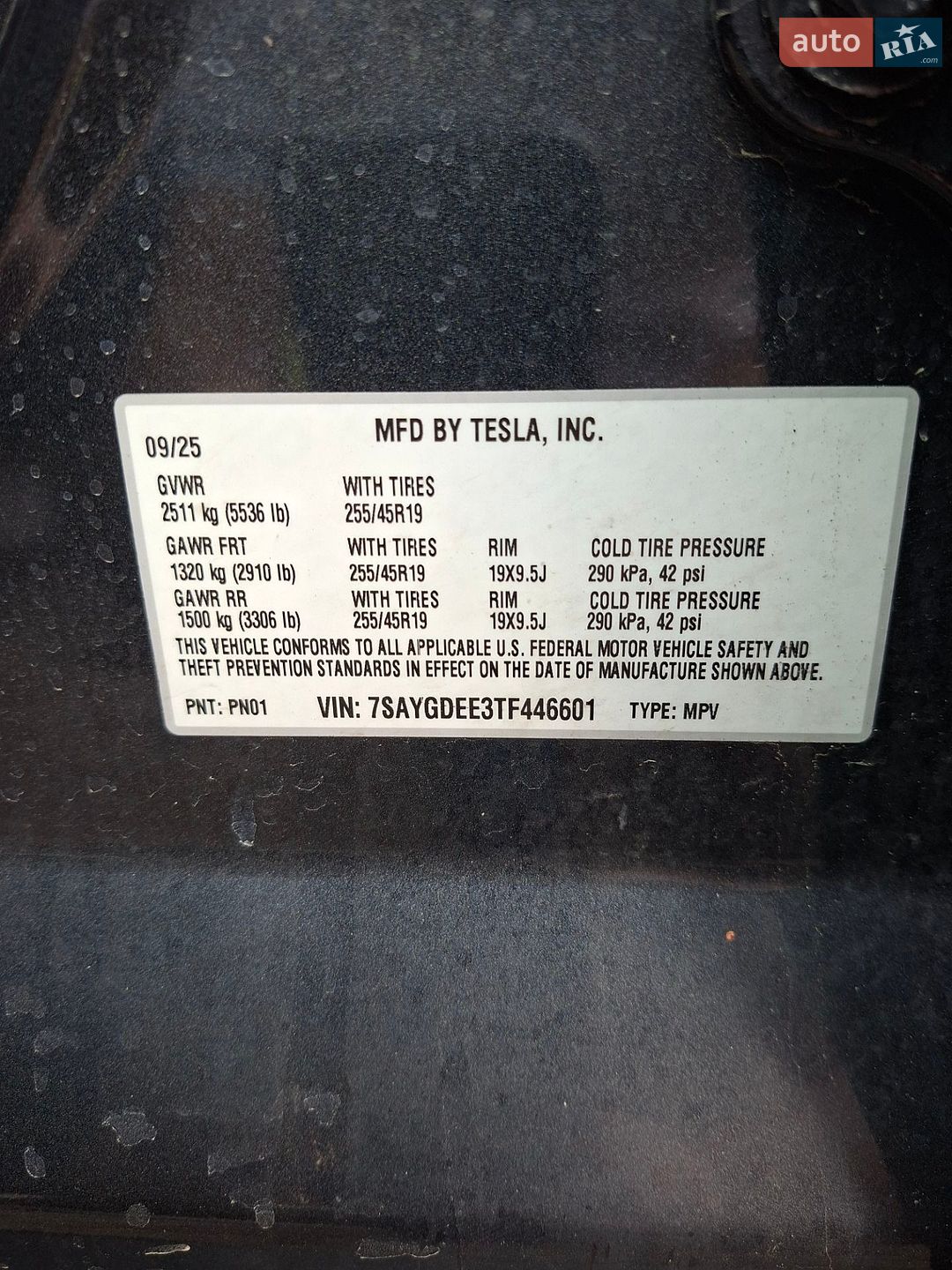 Tesla Model Y 2025 VIN 7SAYGDEE3TF446601 фото оголошення 11 з 18