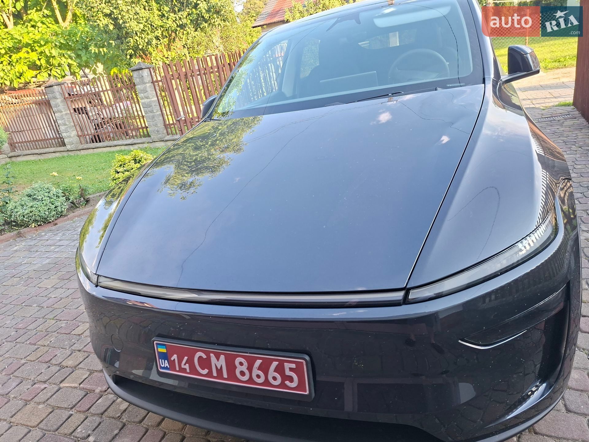 Tesla Model Y 2025 VIN 7SAYGDEE3TF446601 фото оголошення 6 з 18