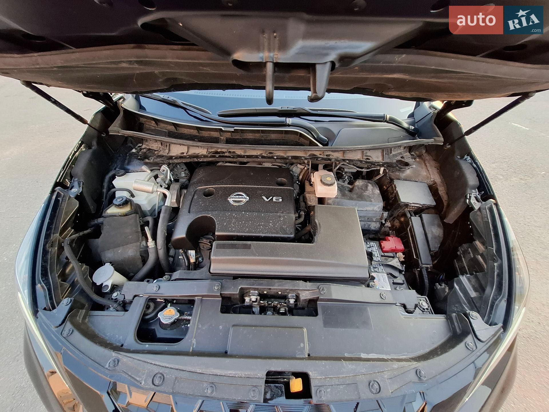 Nissan Murano 2023 VIN 5N1AZ2CS5PC124983 фото оголошення 13 з 14