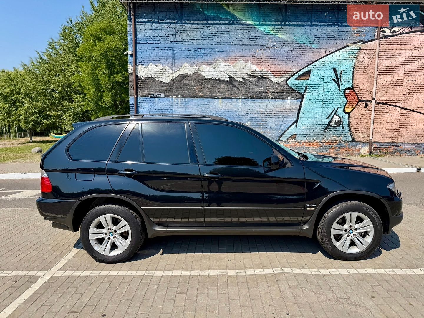 BMW X5 2006 VIN WBAFB71040LX79541 фото оголошення 12 з 65