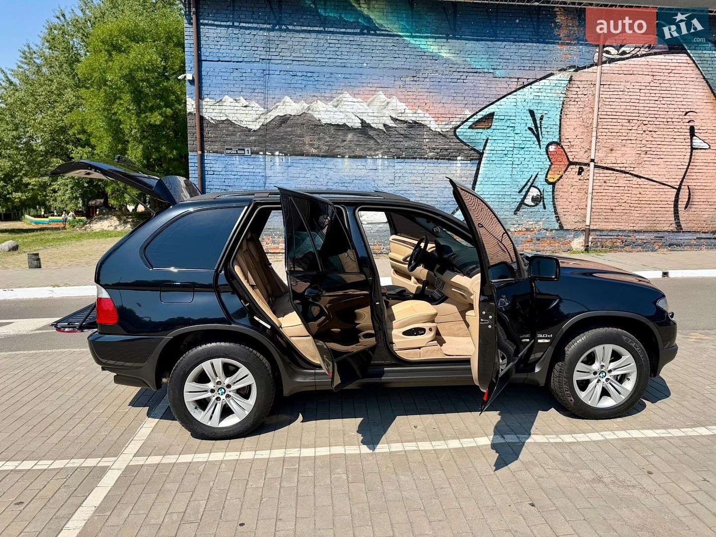 BMW X5 2006 VIN WBAFB71040LX79541 фото оголошення 14 з 65