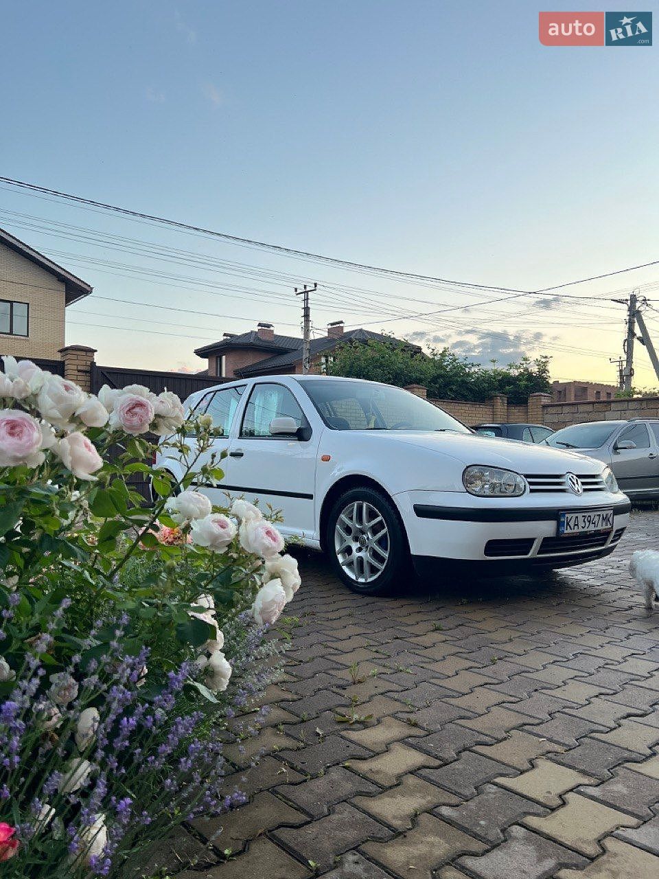 Volkswagen Golf 1998 VIN WVWZZZ1JZWB057170 фото оголошення 4 з 9