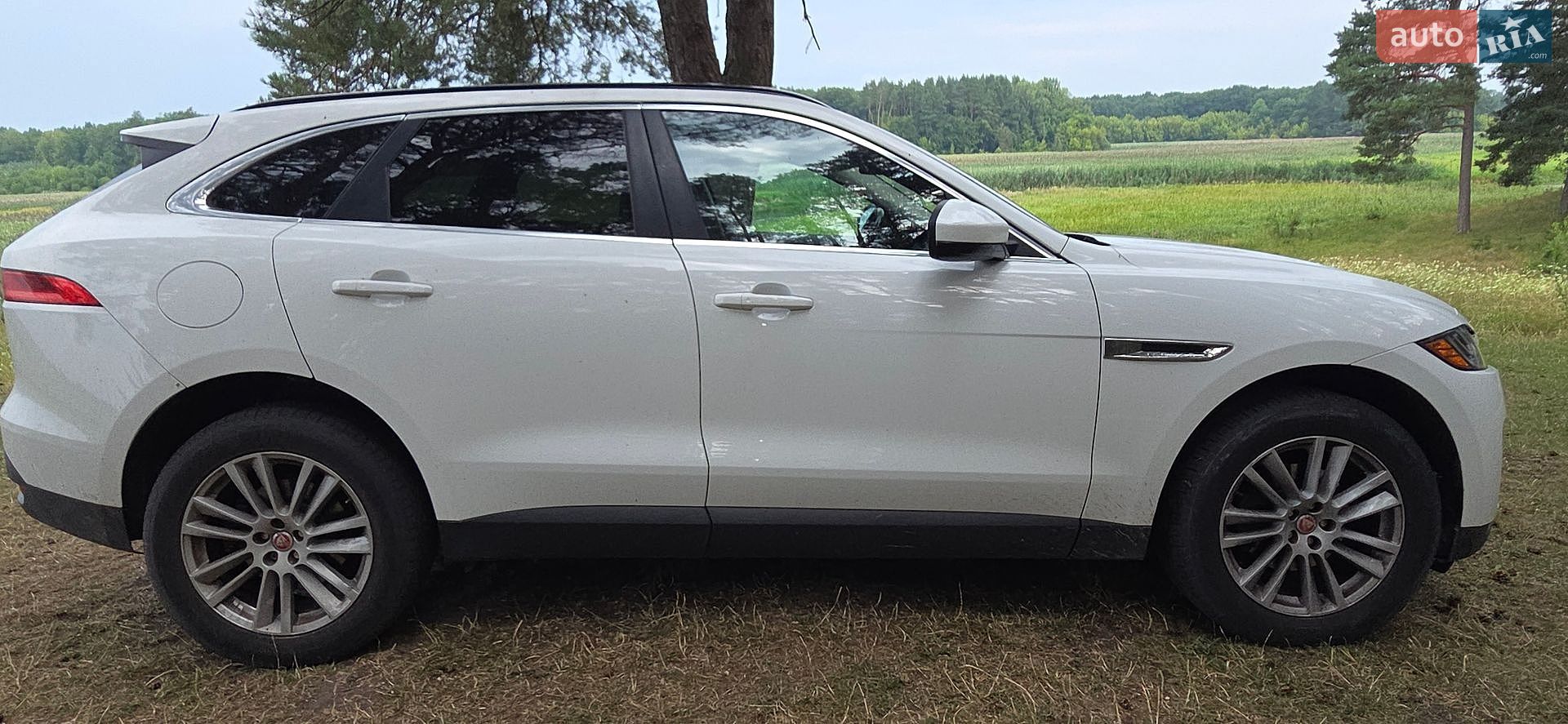 Jaguar F-Pace 2017 VIN SADCK2BN6HA087778 фото оголошення 6 з 14