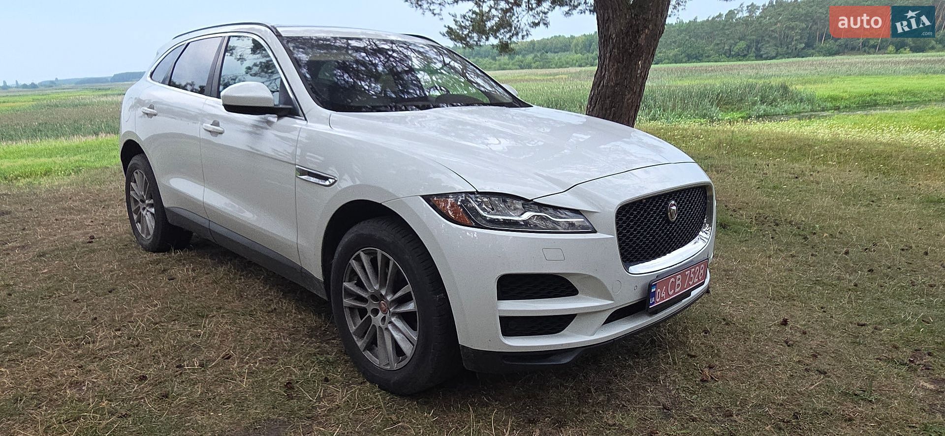 Jaguar F-Pace 2017 VIN SADCK2BN6HA087778 фото оголошення 7 з 14