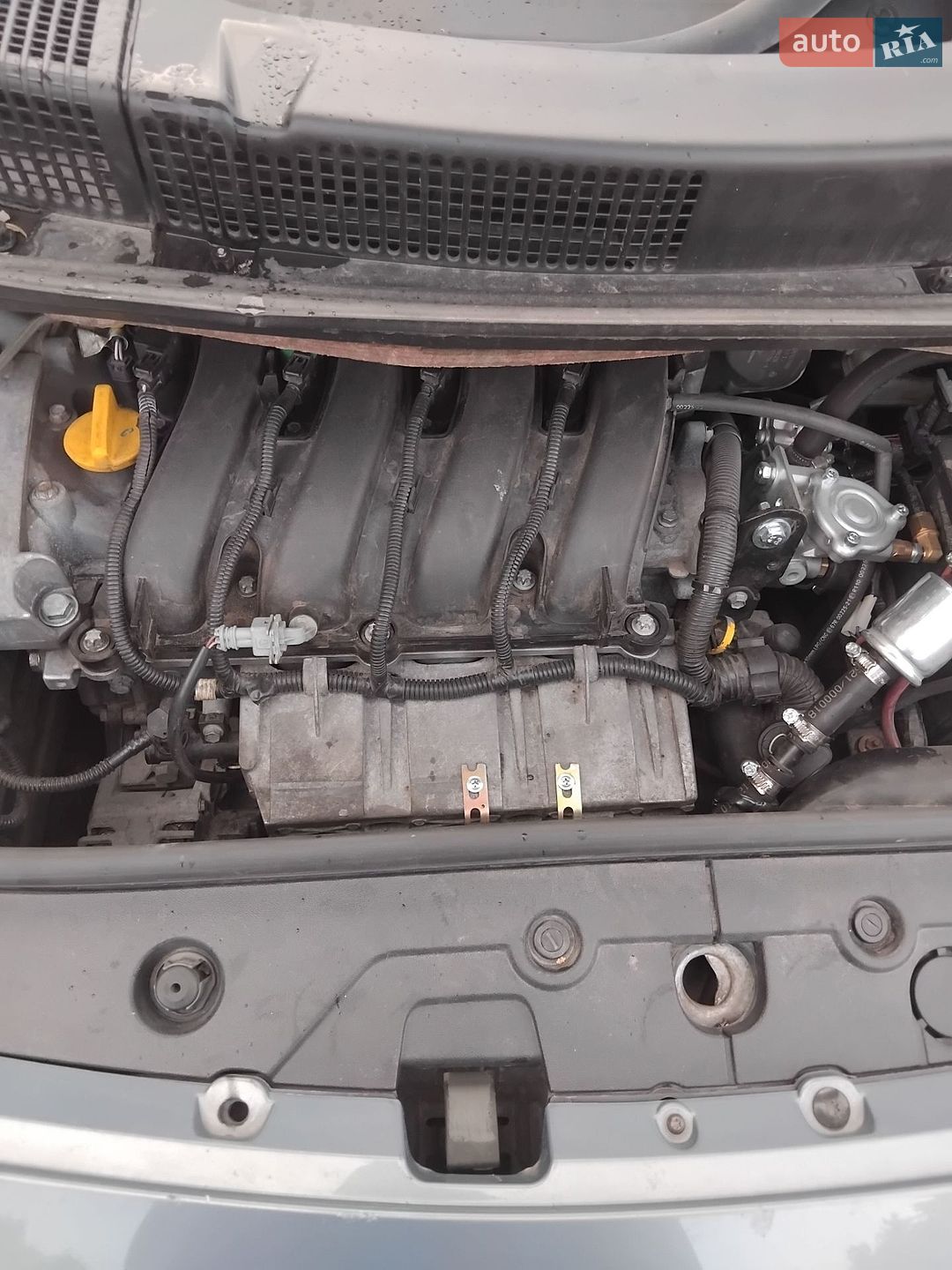 Renault Scenic 2005 VIN VF1JM0U0633113657 фото оголошення 12 з 13