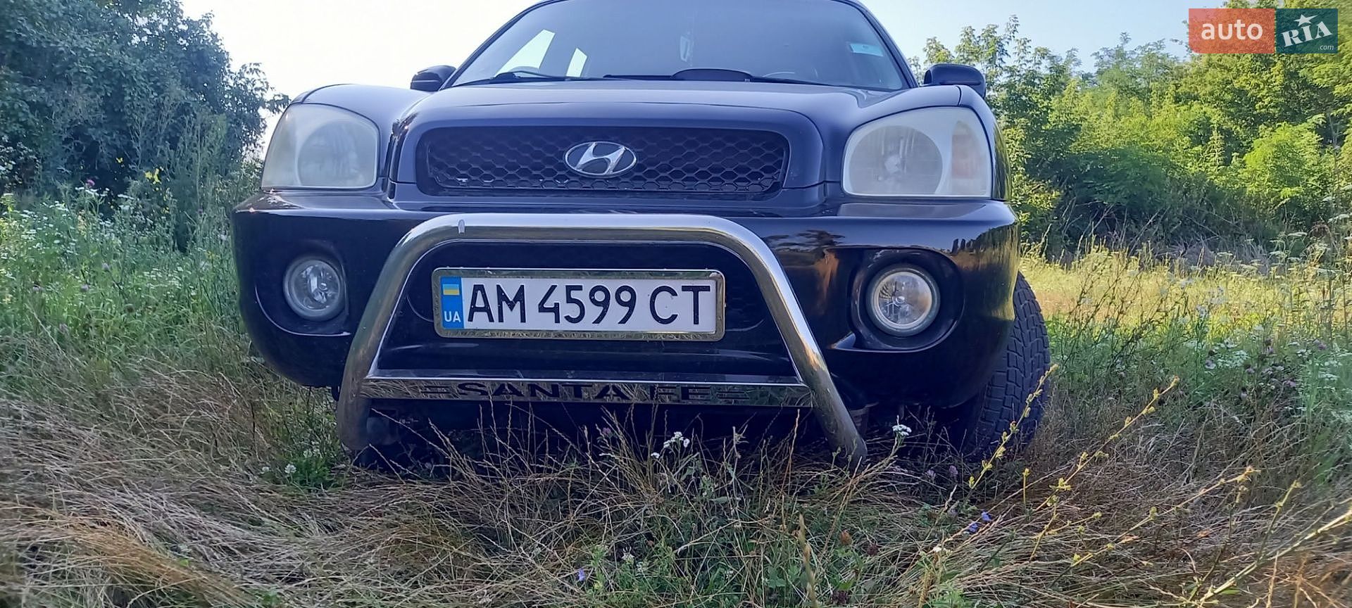 Hyundai Santa FE 2003 VIN KMHSC81BP3U484159 фото оголошення 3 з 28