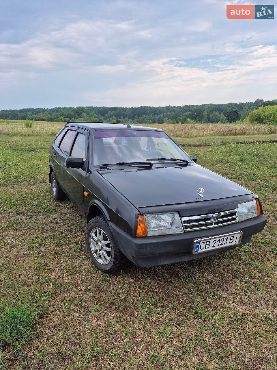 ВАЗ / Lada 2109 2008 VIN Y6D21093490028644 фото оголошення 2 з 12
