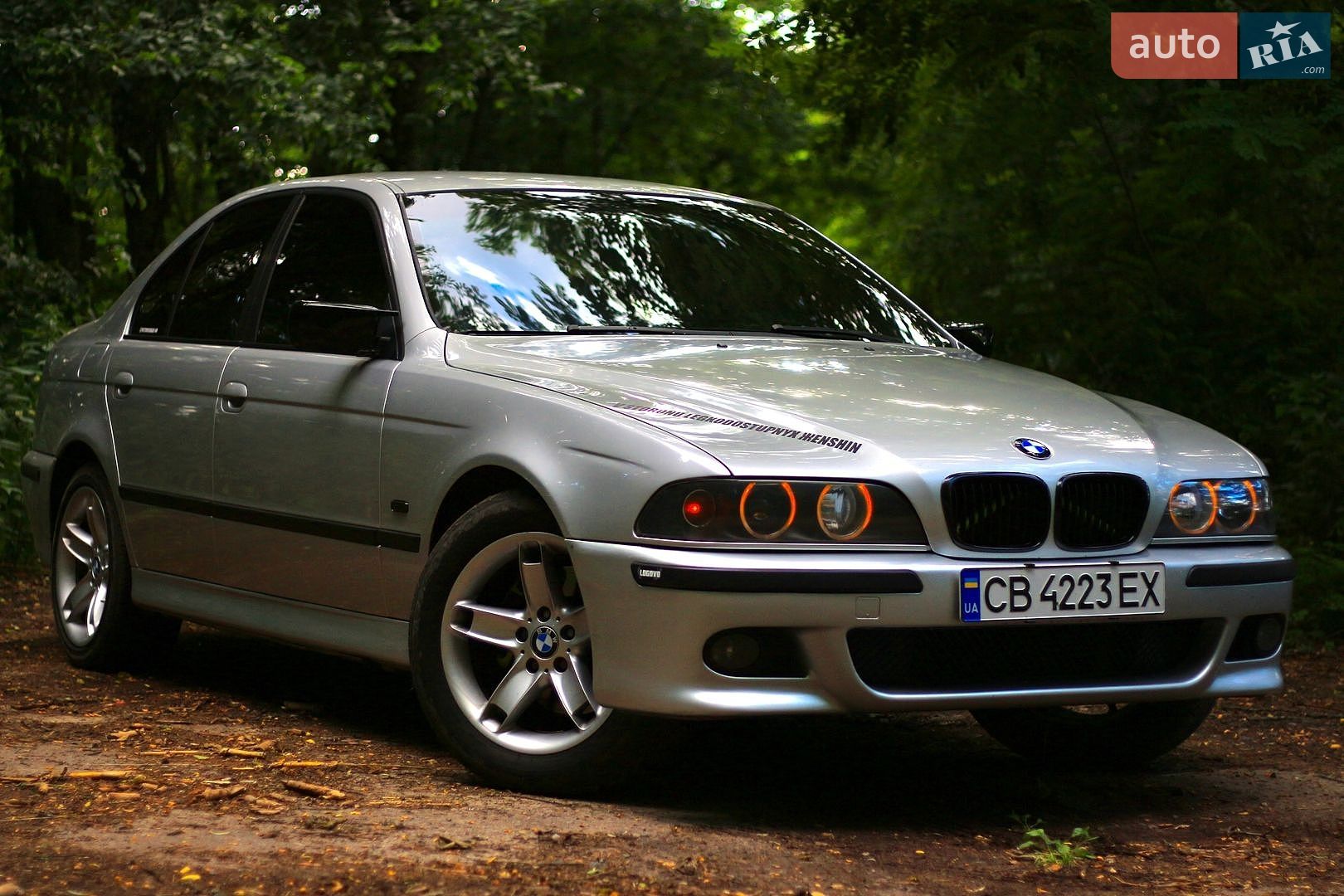 BMW 5 Series 2001 VIN WBADL710X0GV13762 фото оголошення 16 з 25