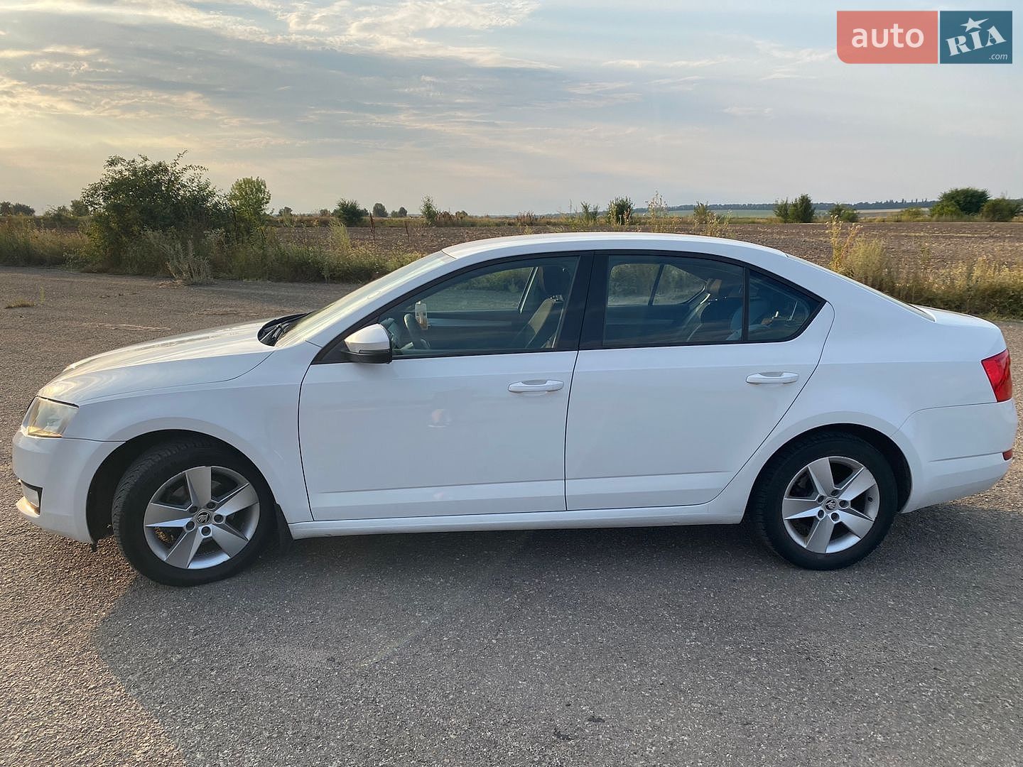 Skoda Octavia 2015 VIN TMBAG7NE4F0145838 фото оголошення 2 з 23