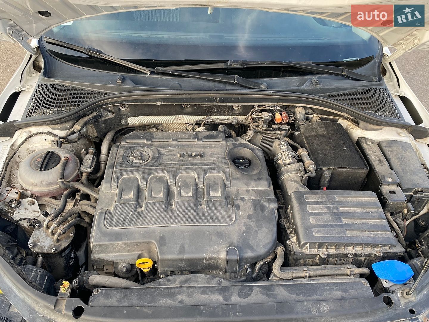 Skoda Octavia 2015 VIN TMBAG7NE4F0145838 фото оголошення 19 з 23