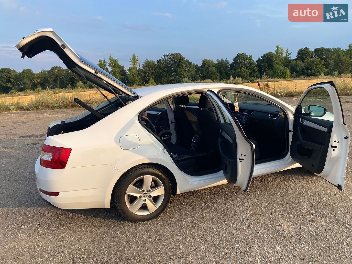 Skoda Octavia 2015 VIN TMBAG7NE4F0145838 фото оголошення 16 з 23