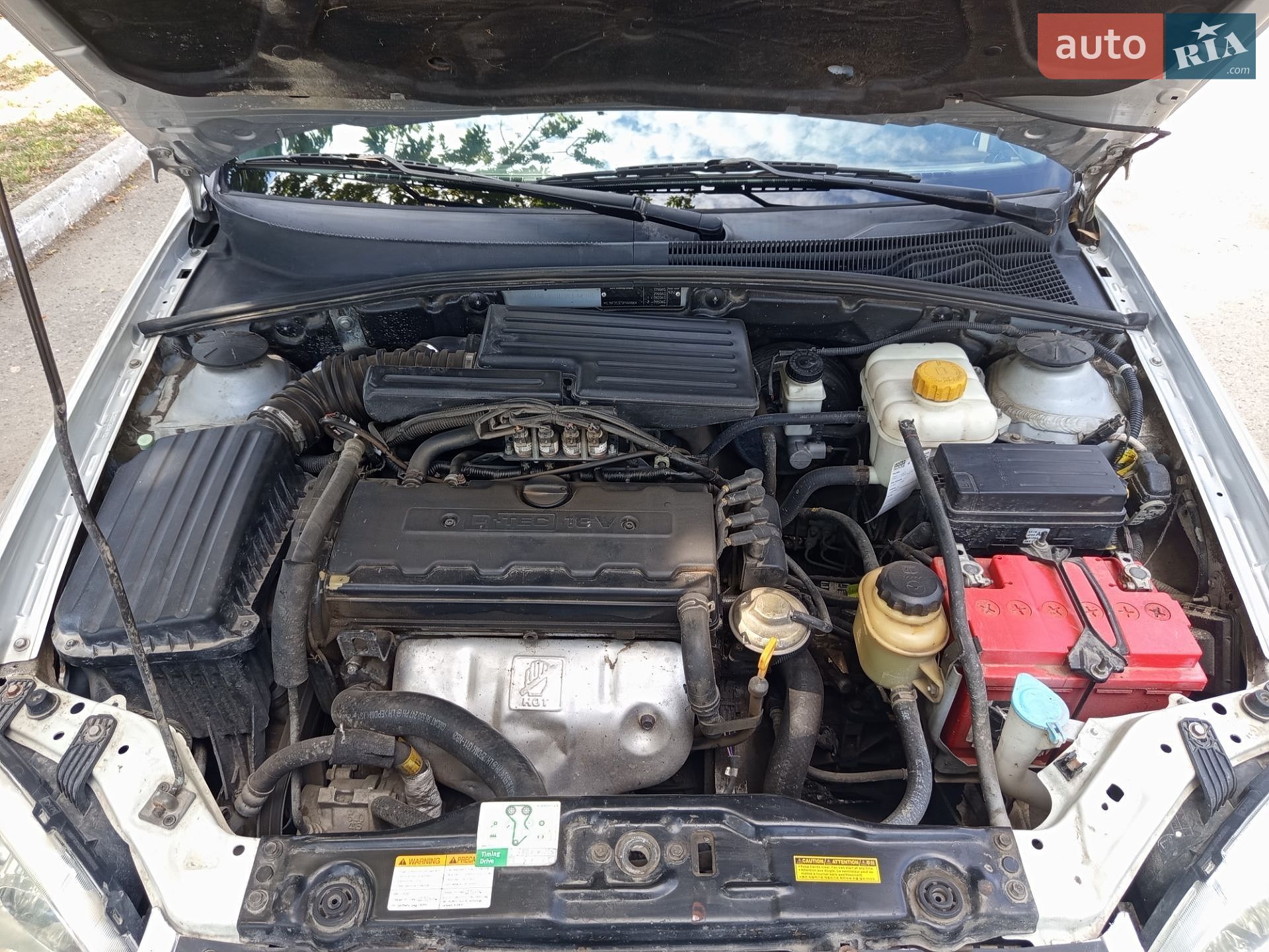 Chevrolet Nubira 2005 VIN Y6DNF353E5K144996 фото оголошення 10 з 10