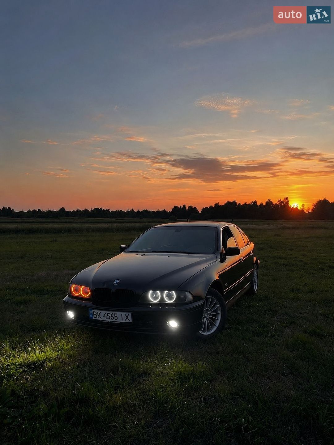 BMW 5 Series 2002 VIN WBADL81040GX57512 фото оголошення 11 з 11