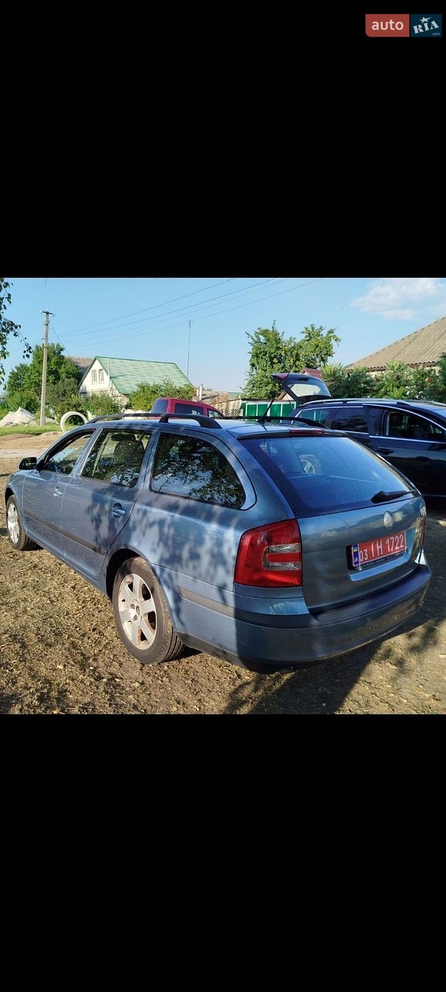 Skoda Octavia 2007 VIN TMBGA61Z282016423 фото оголошення 3 з 10