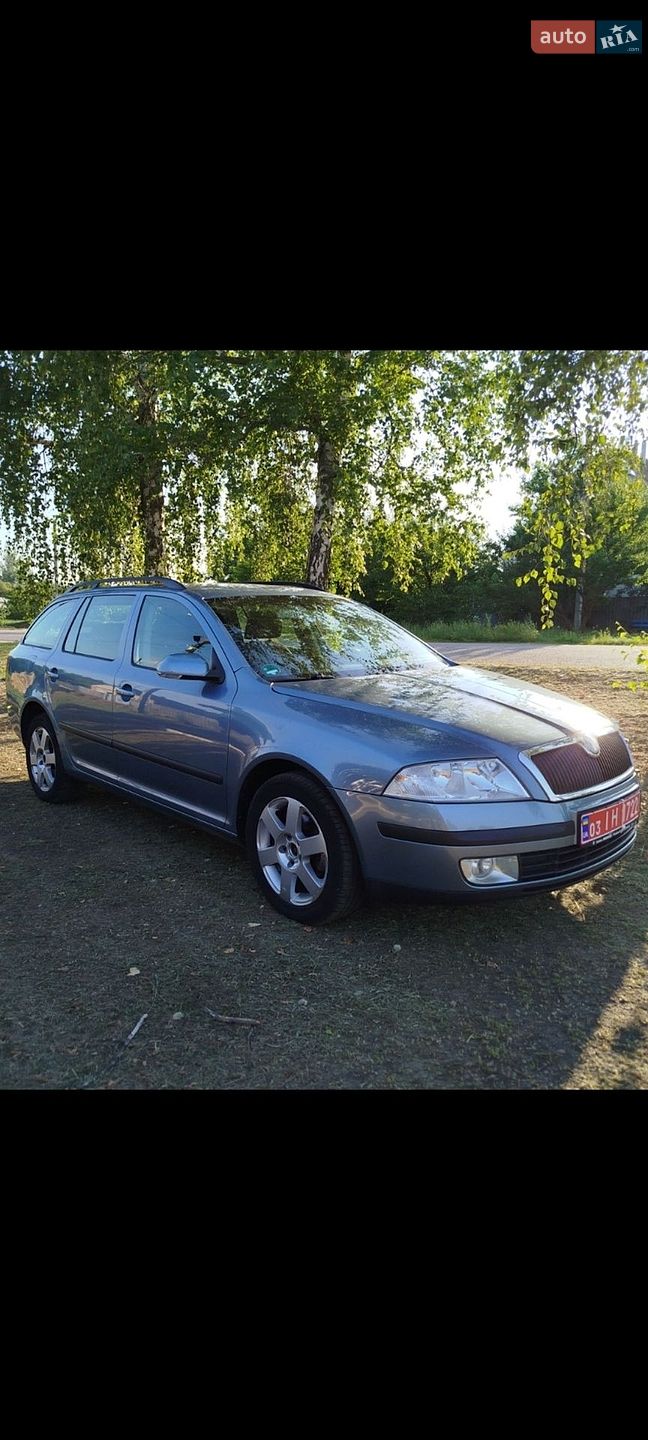 Skoda Octavia 2007 VIN TMBGA61Z282016423 фото оголошення 2 з 10