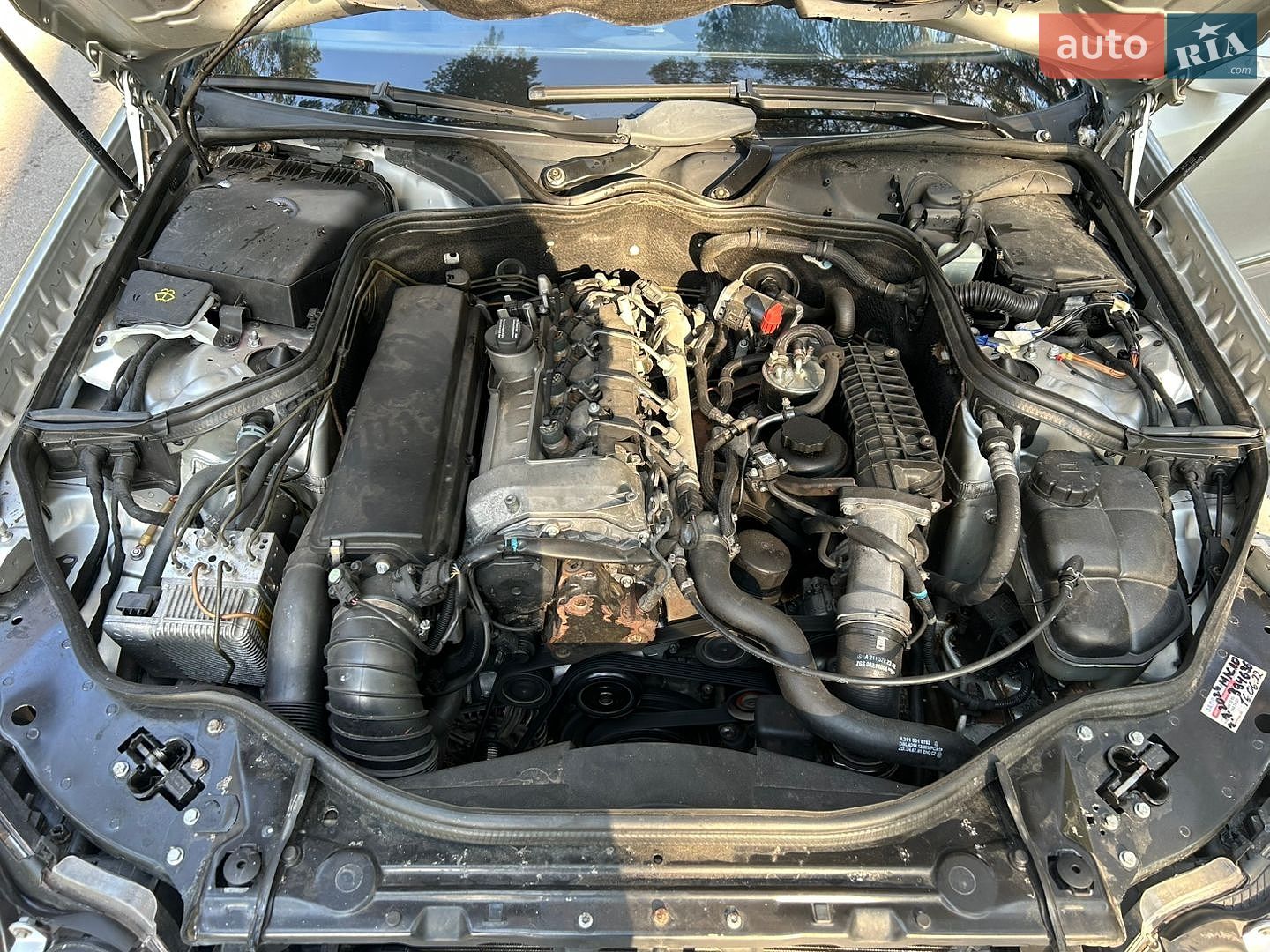 Mercedes-Benz E-Class 2002 VIN WDB2110061A019596 фото оголошення 10 з 58
