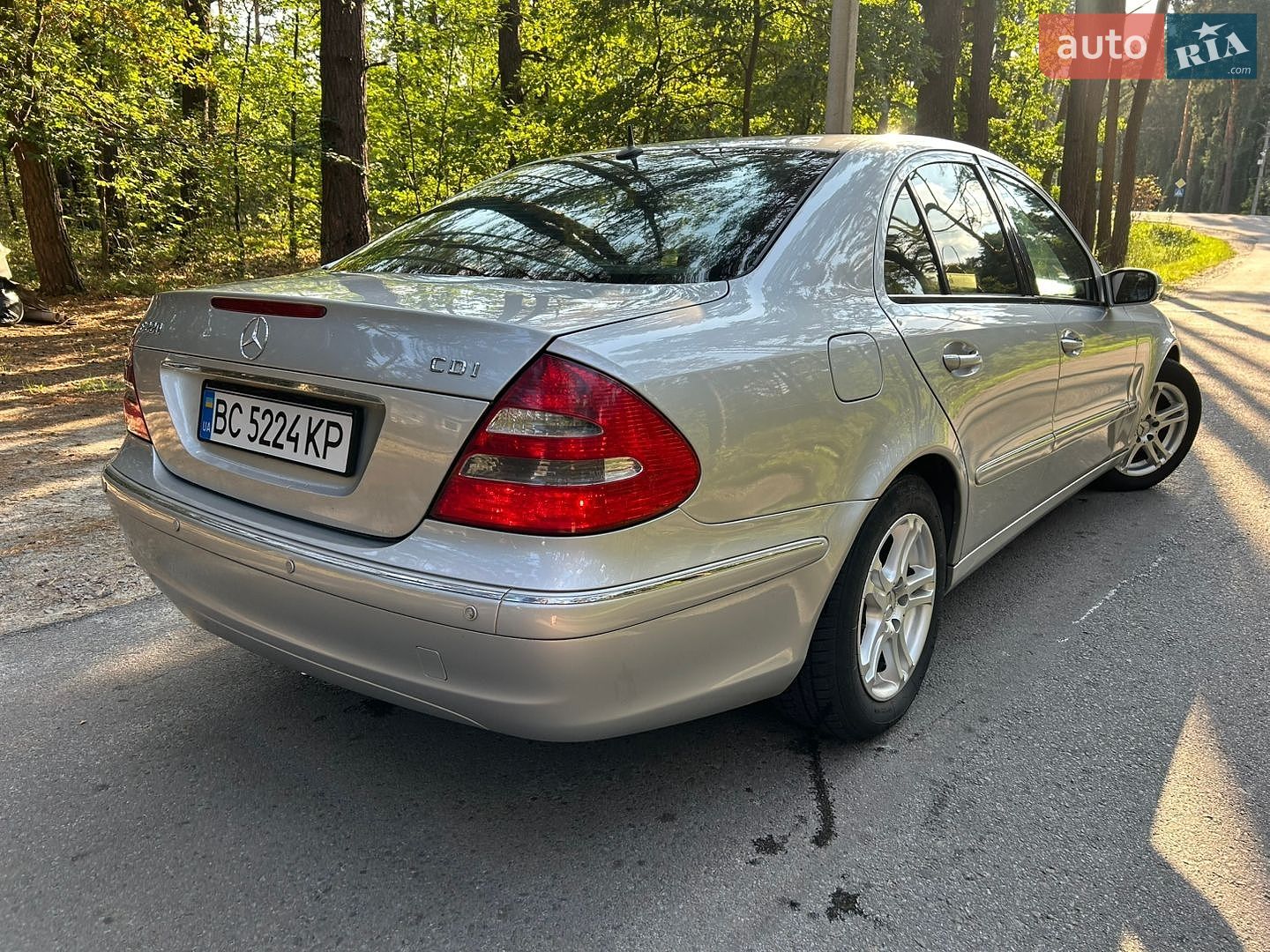 Mercedes-Benz E-Class 2002 VIN WDB2110061A019596 фото оголошення 45 з 58