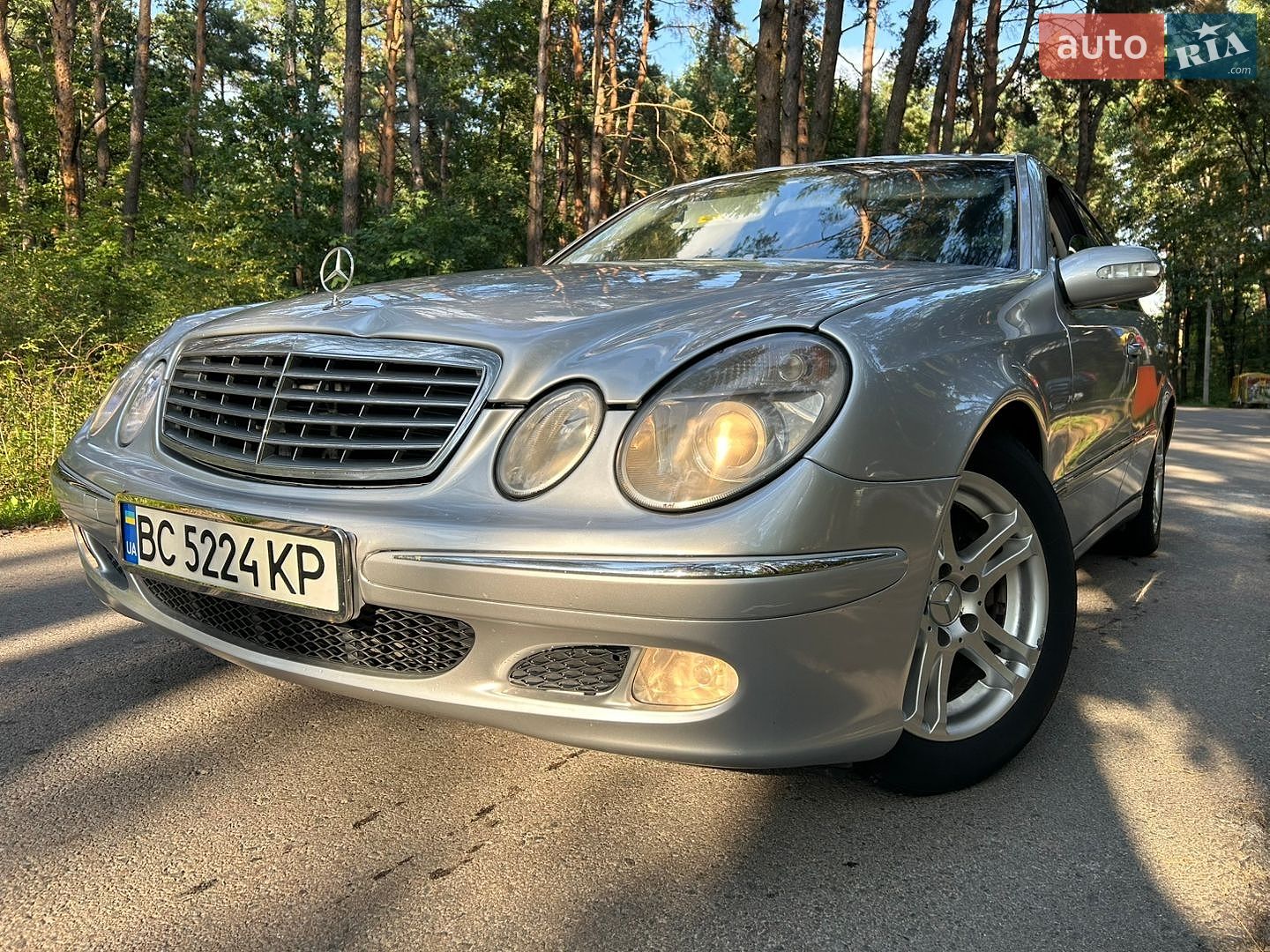 Mercedes-Benz E-Class 2002 VIN WDB2110061A019596 фото оголошення 46 з 58