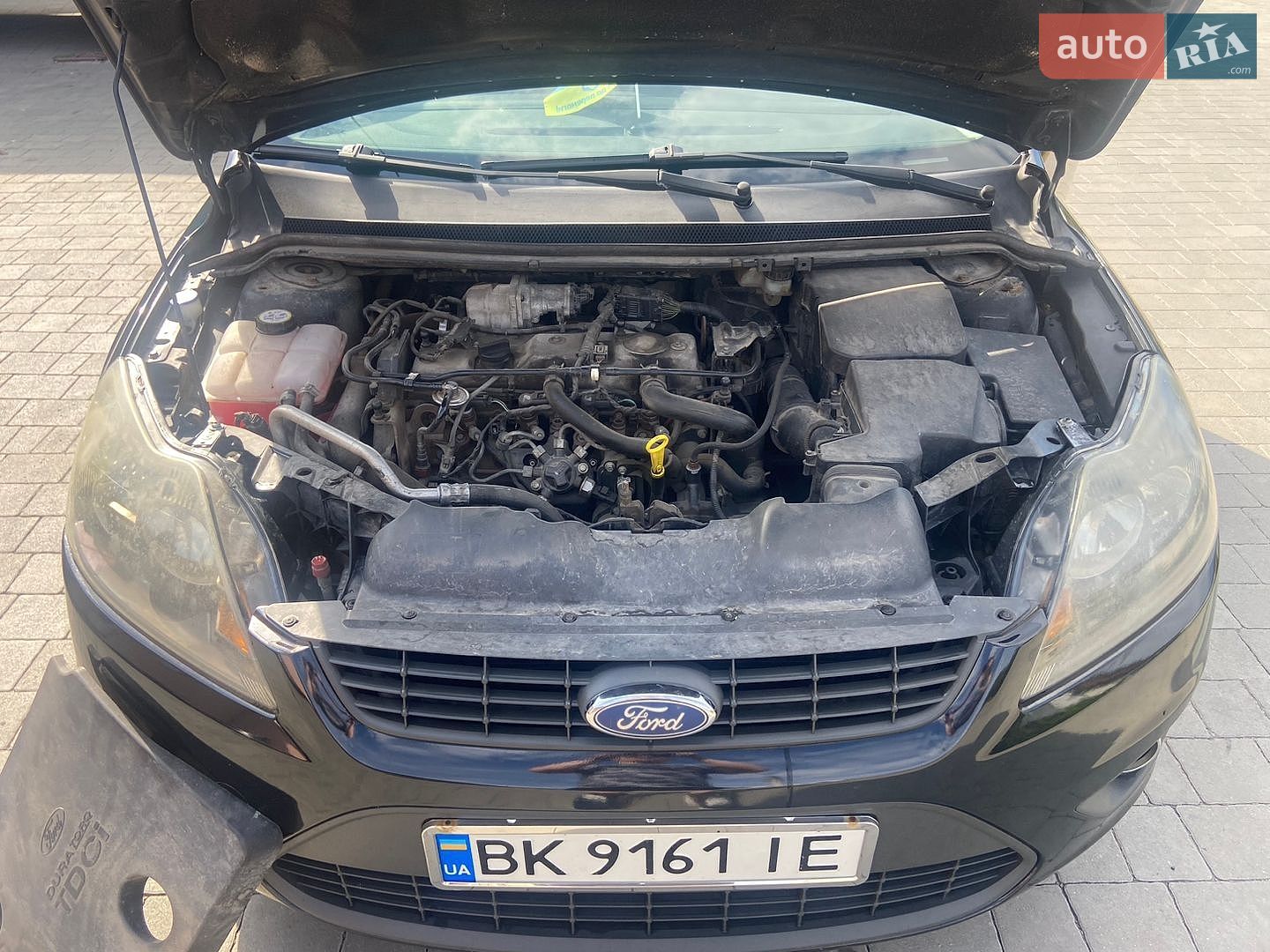 Ford Focus 2008 VIN WF0SXXGCDS8G09374 фото оголошення 32 з 35
