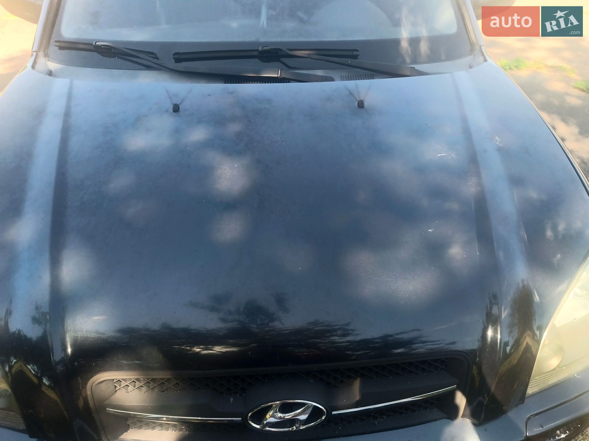 Hyundai Tucson 2008 VIN Y6LJN81BP8L206193 фото оголошення 12 з 16