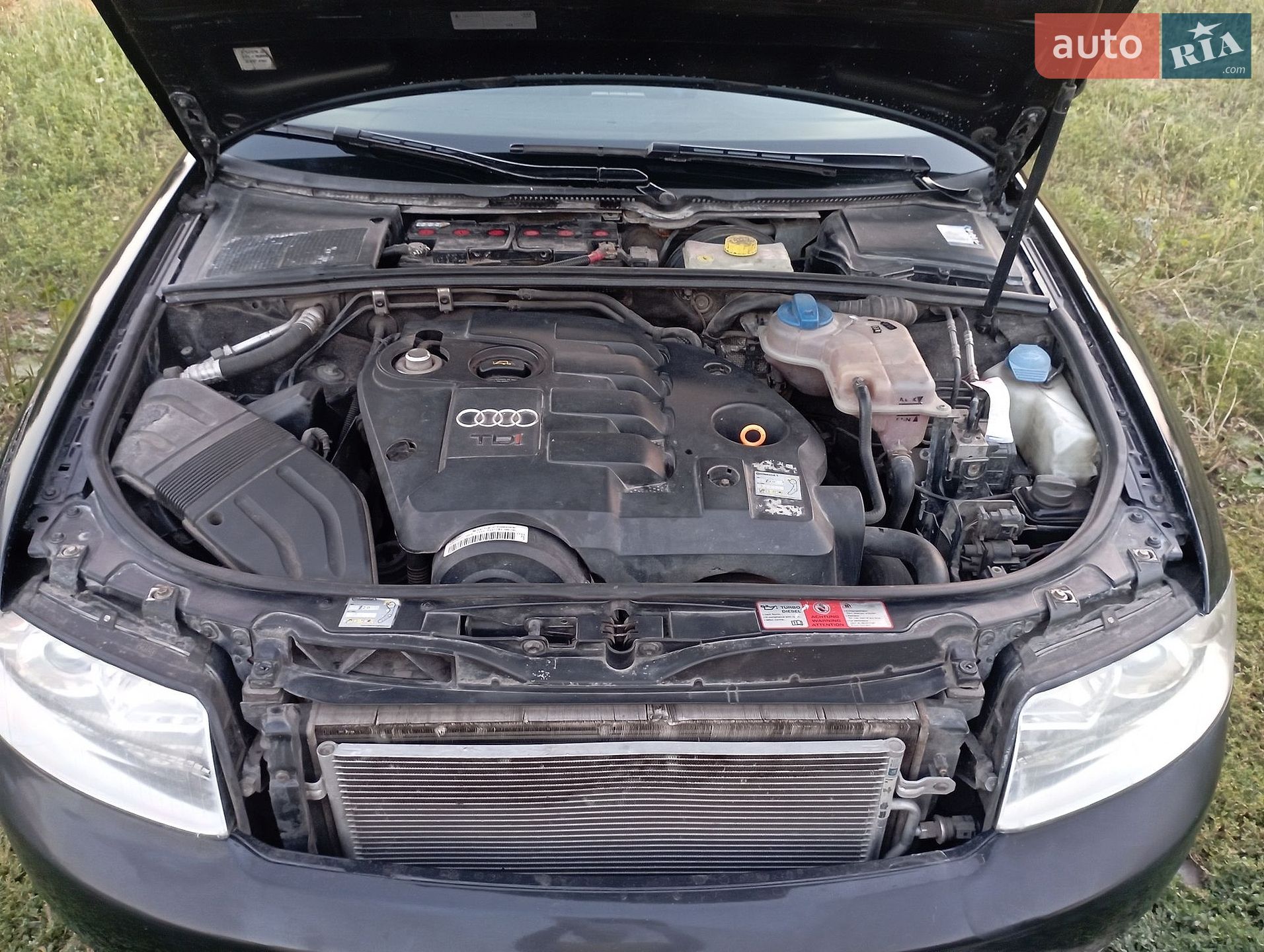 Audi A4 2004 VIN WAUZZZ8E15A112256 фото оголошення 19 з 19