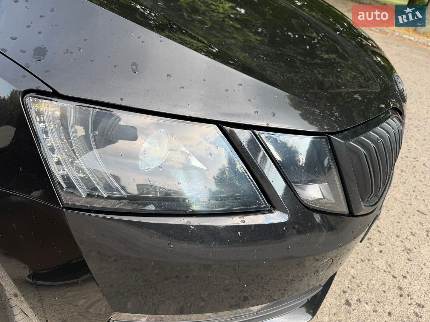 Skoda Octavia 2019 VIN TMBAN4NE1LB006576 фото оголошення 31 з 31