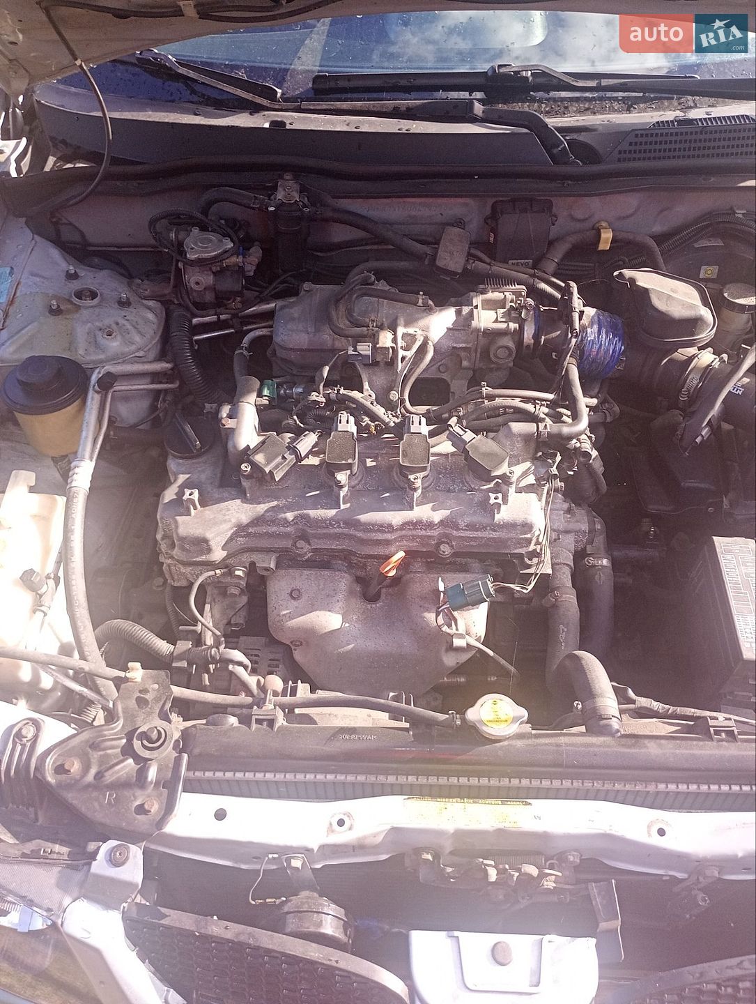 Nissan Almera 2004 VIN SJNFAAN16U0479779 фото оголошення 9 з 13