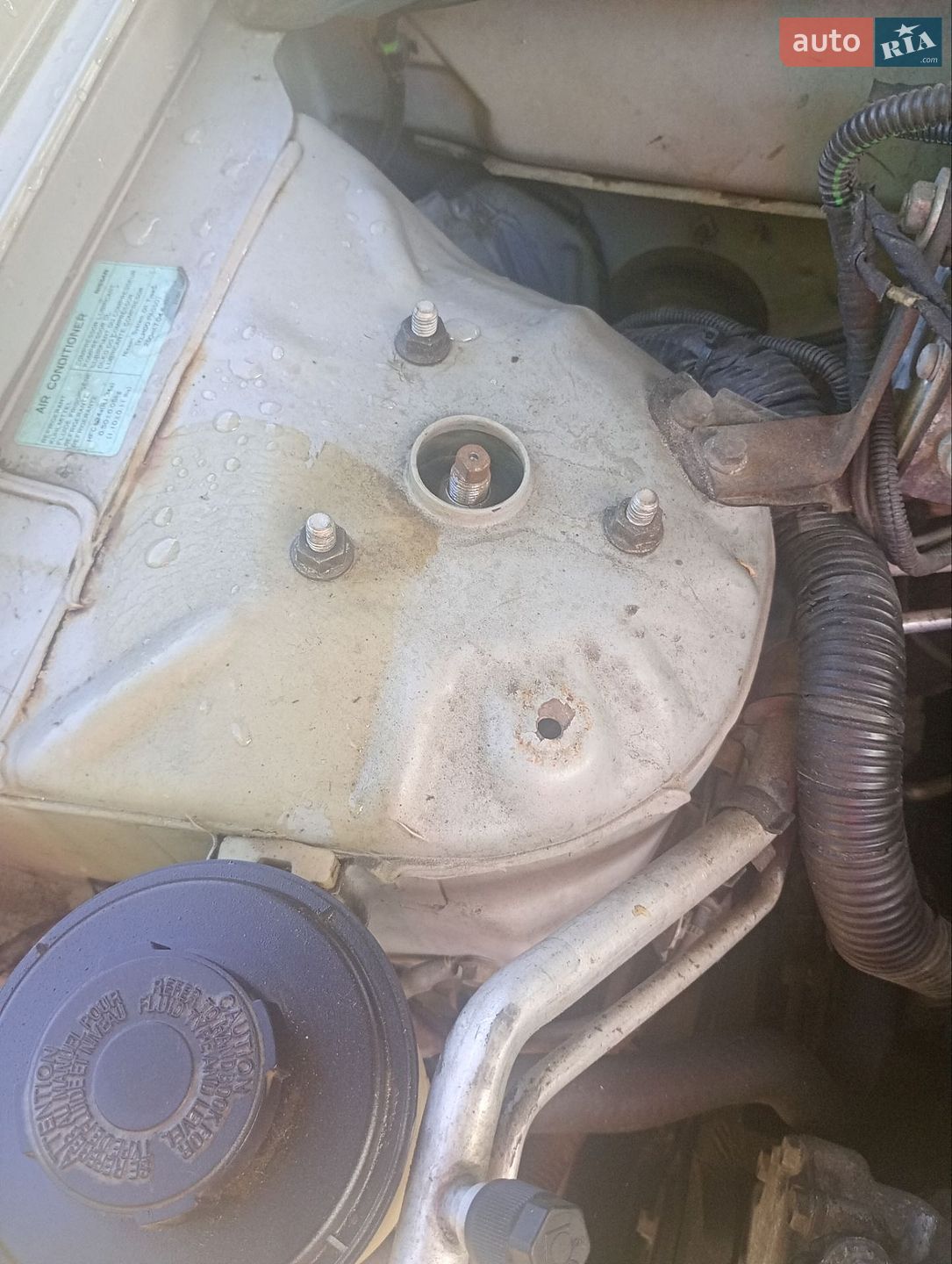 Nissan Almera 2004 VIN SJNFAAN16U0479779 фото оголошення 12 з 13