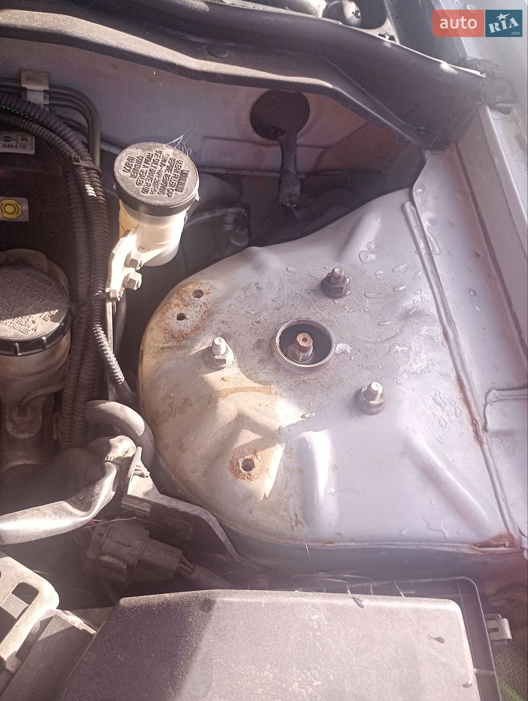 Nissan Almera 2004 VIN SJNFAAN16U0479779 фото оголошення 10 з 13