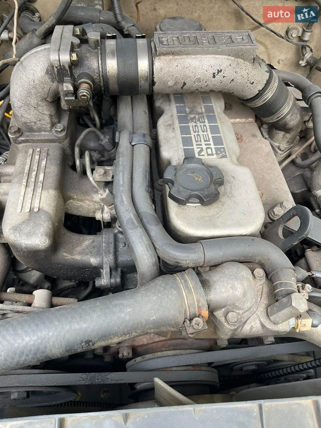 Nissan Terrano 1992 VIN JN1WBYD21N0064922 фото оголошення 16 з 16