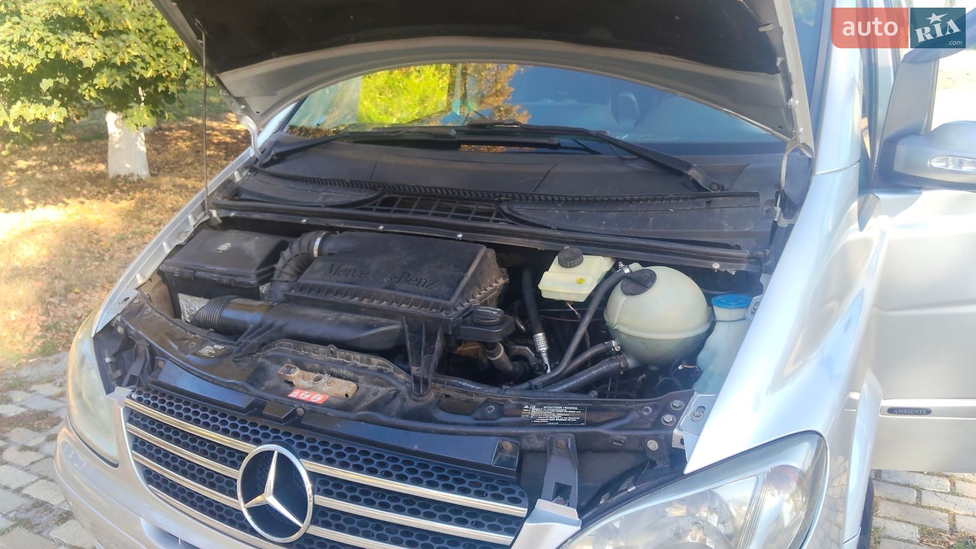 Mercedes-Benz Viano 2008 VIN WDF63981313261262 фото оголошення 12 з 13