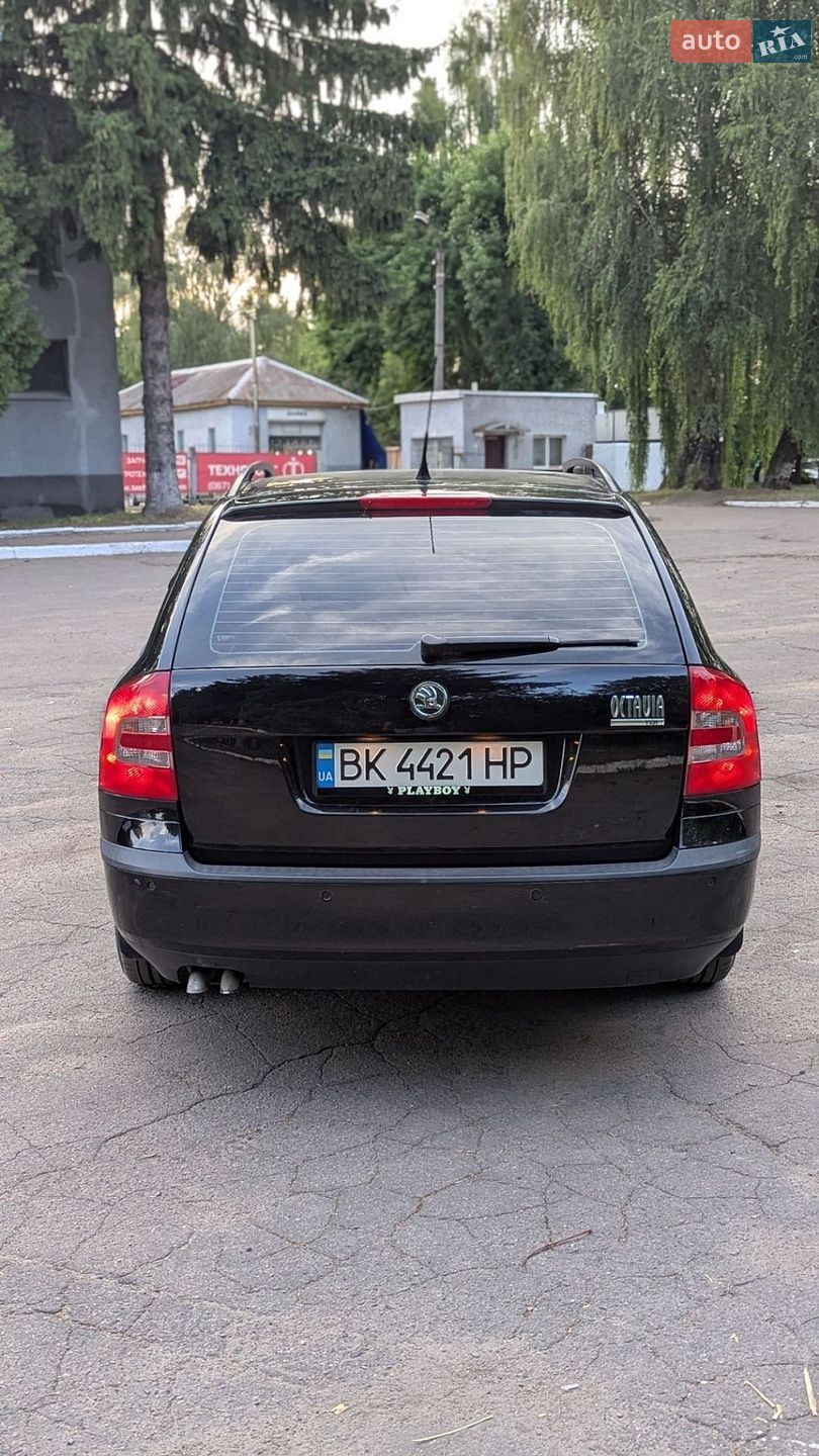 Skoda Octavia 2008 VIN TMBHS61Z982242279 фото оголошення 3 з 17