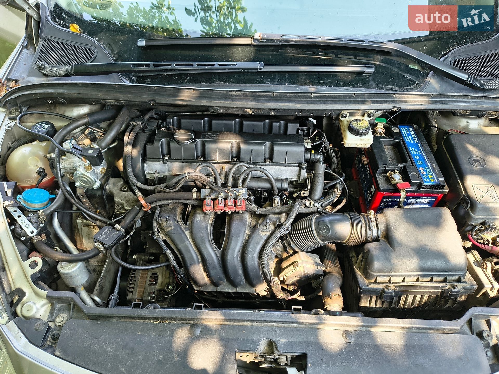 Peugeot 307 2006 VIN VF33CRFJC84641347 фото оголошення 15 з 18