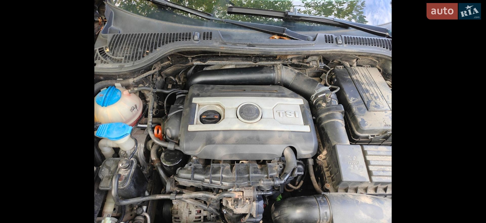 Skoda Octavia 2010 VIN TMBKK61Z6B2050444 фото оголошення 15 з 26
