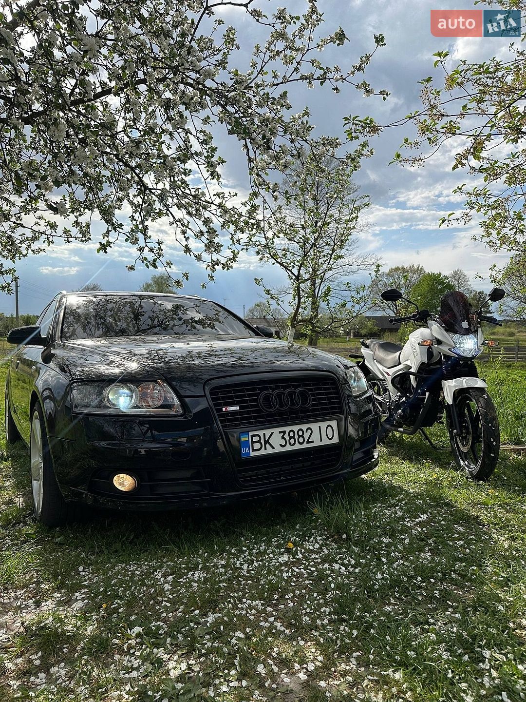 Audi A6 2005 VIN WAUZZZ4F16N046722 фото оголошення 25 з 44