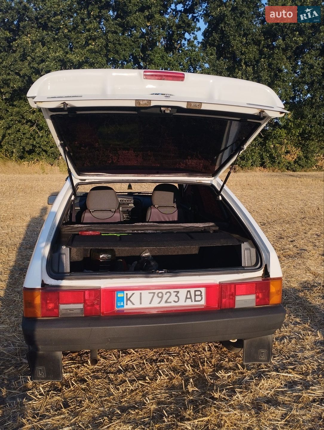 ВАЗ / Lada 2109 2009 VIN Y6D21093490030328 фото оголошення 8 з 36