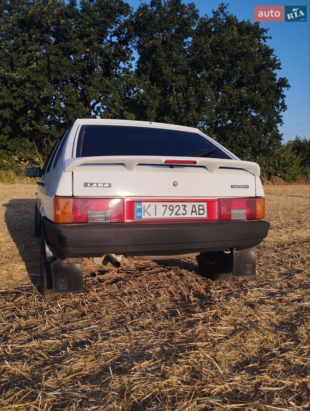 ВАЗ / Lada 2109 2009 VIN Y6D21093490030328 фото оголошення 6 з 36
