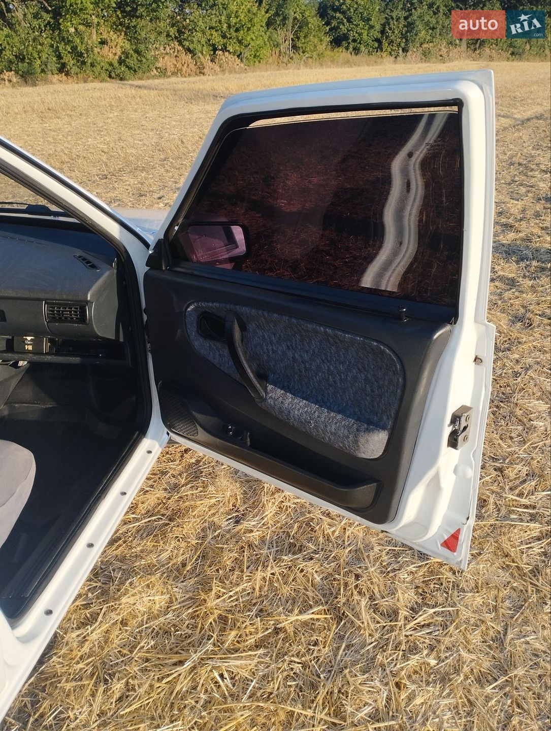 ВАЗ / Lada 2109 2009 VIN Y6D21093490030328 фото оголошення 14 з 36