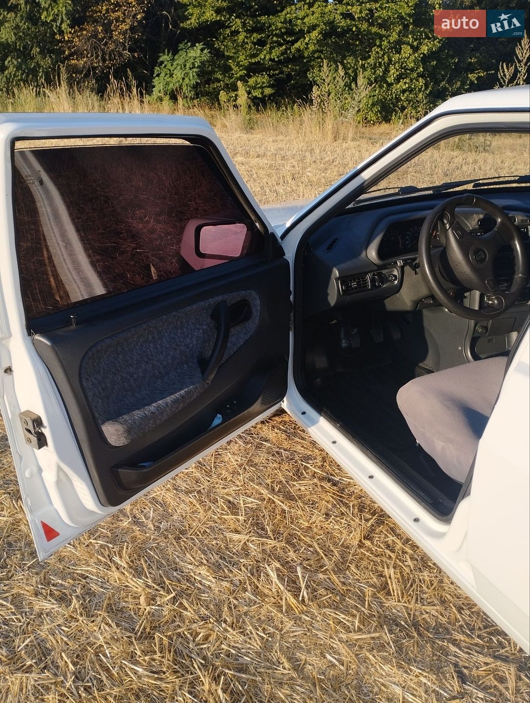 ВАЗ / Lada 2109 2009 VIN Y6D21093490030328 фото оголошення 11 з 36