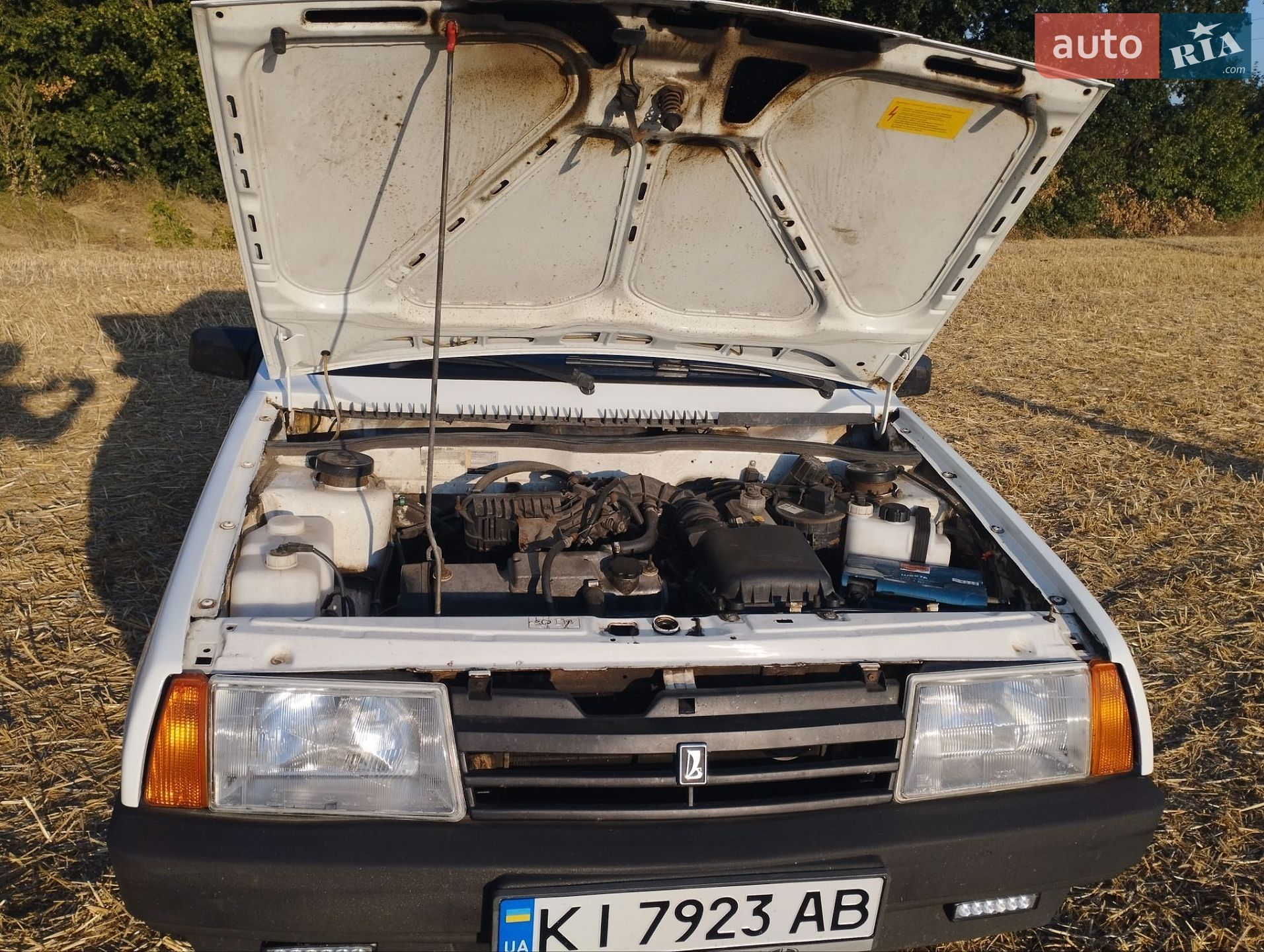 ВАЗ / Lada 2109 2009 VIN Y6D21093490030328 фото оголошення 17 з 36