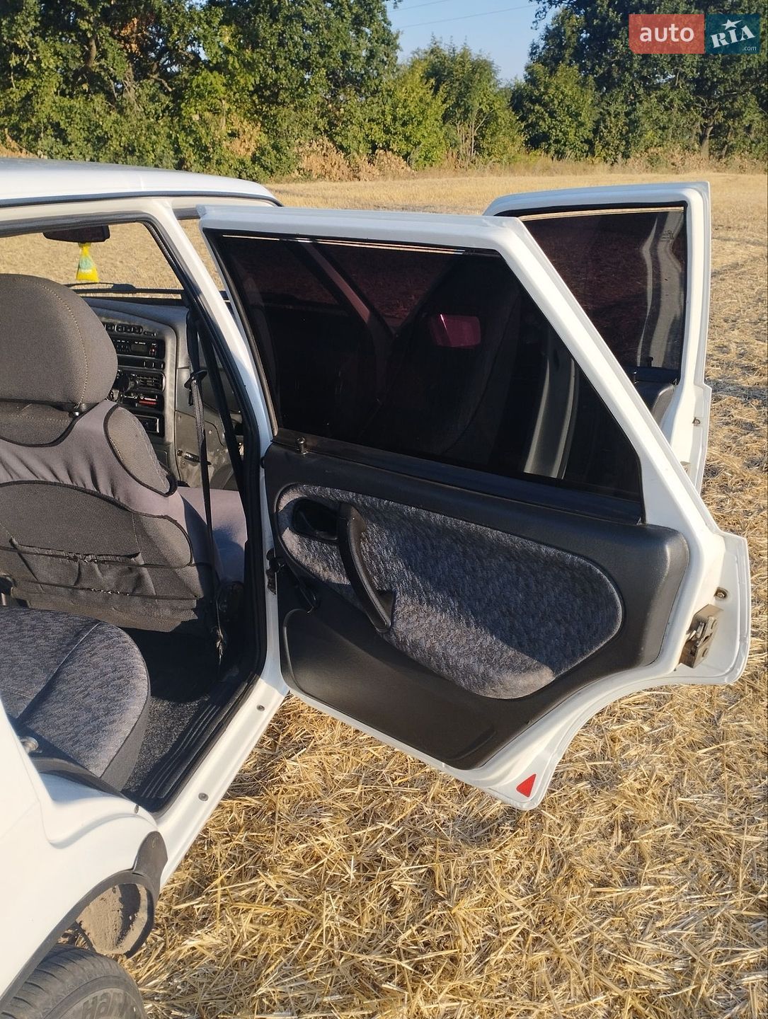 ВАЗ / Lada 2109 2009 VIN Y6D21093490030328 фото оголошення 16 з 36