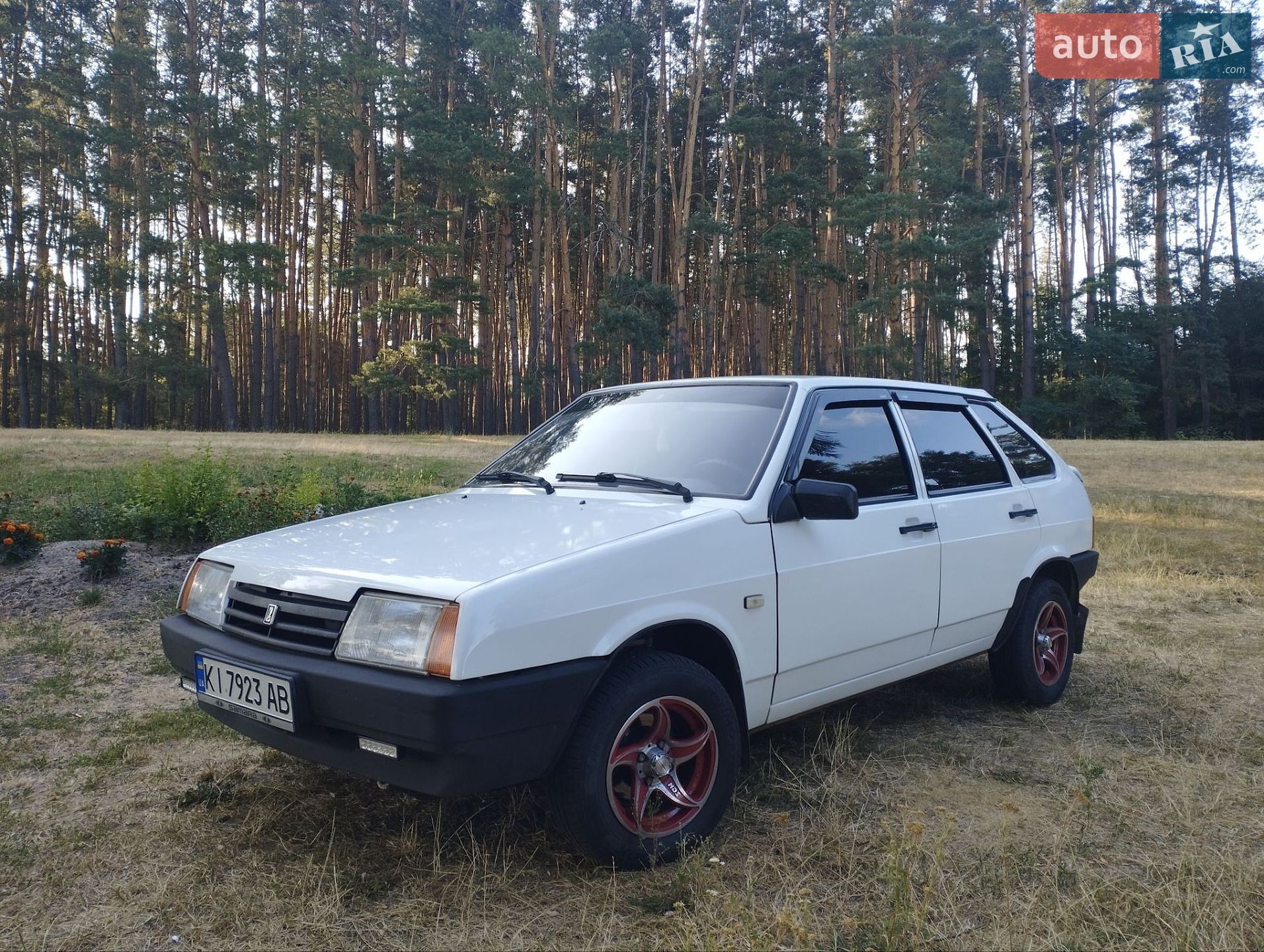 ВАЗ / Lada 2109 2009 VIN Y6D21093490030328 фото оголошення 26 з 36