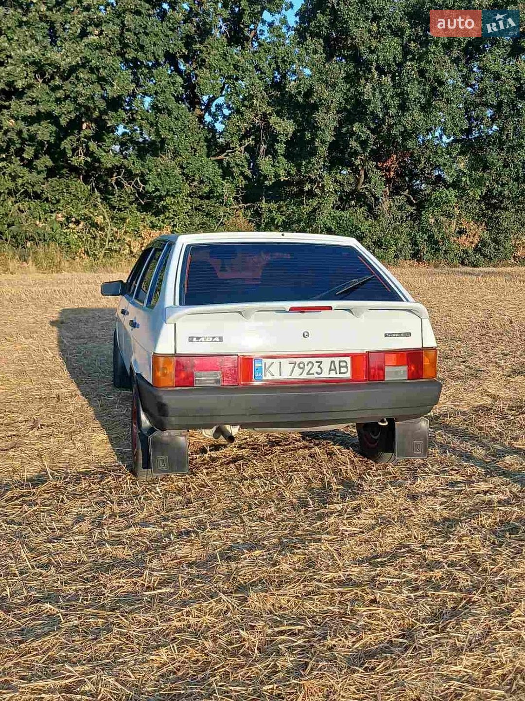 ВАЗ / Lada 2109 2009 VIN Y6D21093490030328 фото оголошення 31 з 36