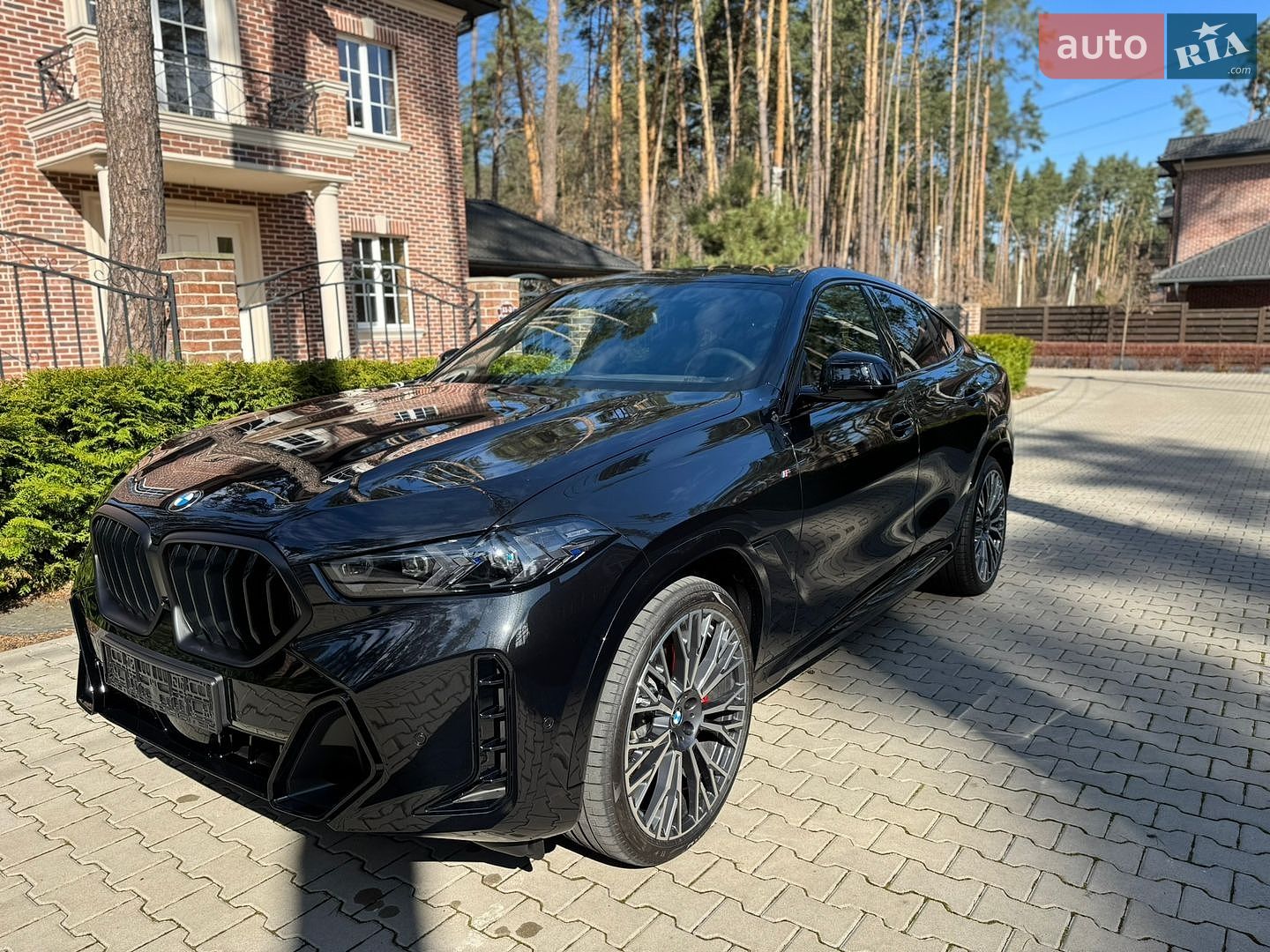 BMW X6 2025 VIN WBA21EY0409056233 фото оголошення 9 з 60