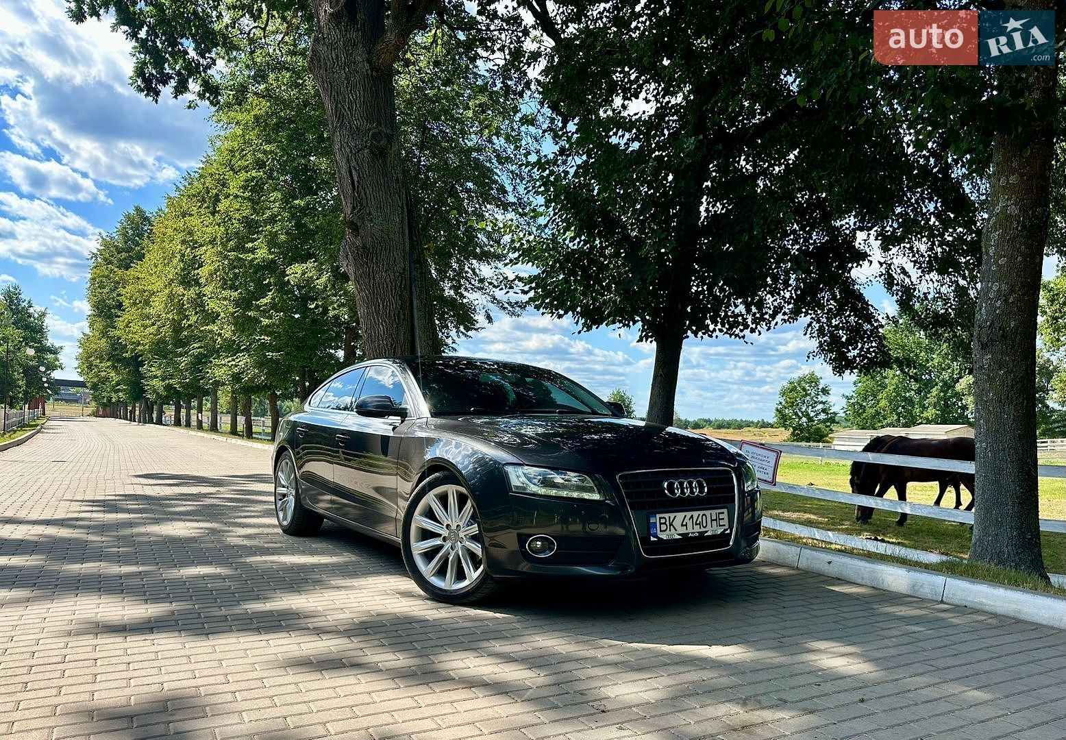 Audi A5 2011 VIN WAUZZZ8T8BA015663 фото оголошення 9 з 9